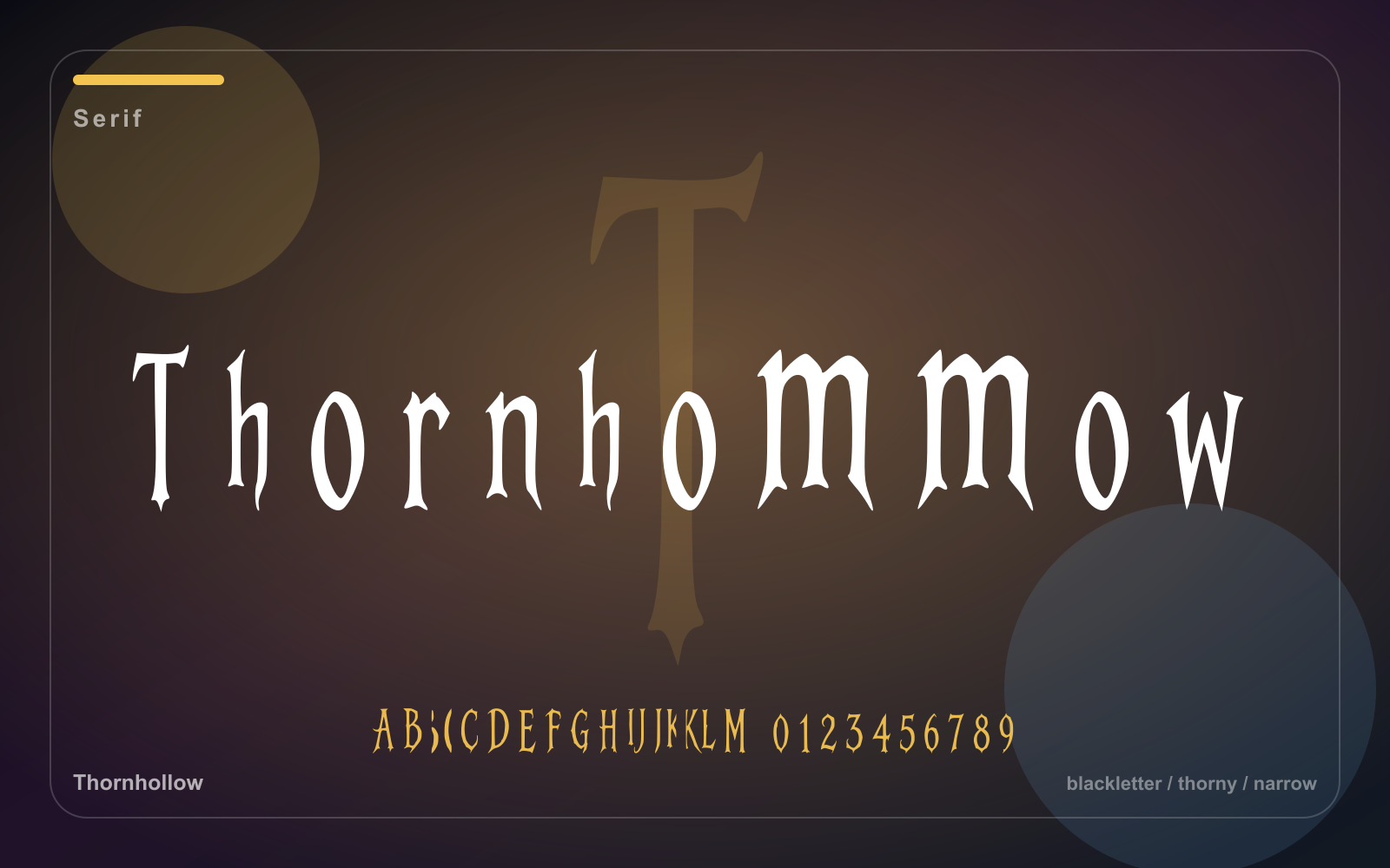Thornhollow poster typography showcase